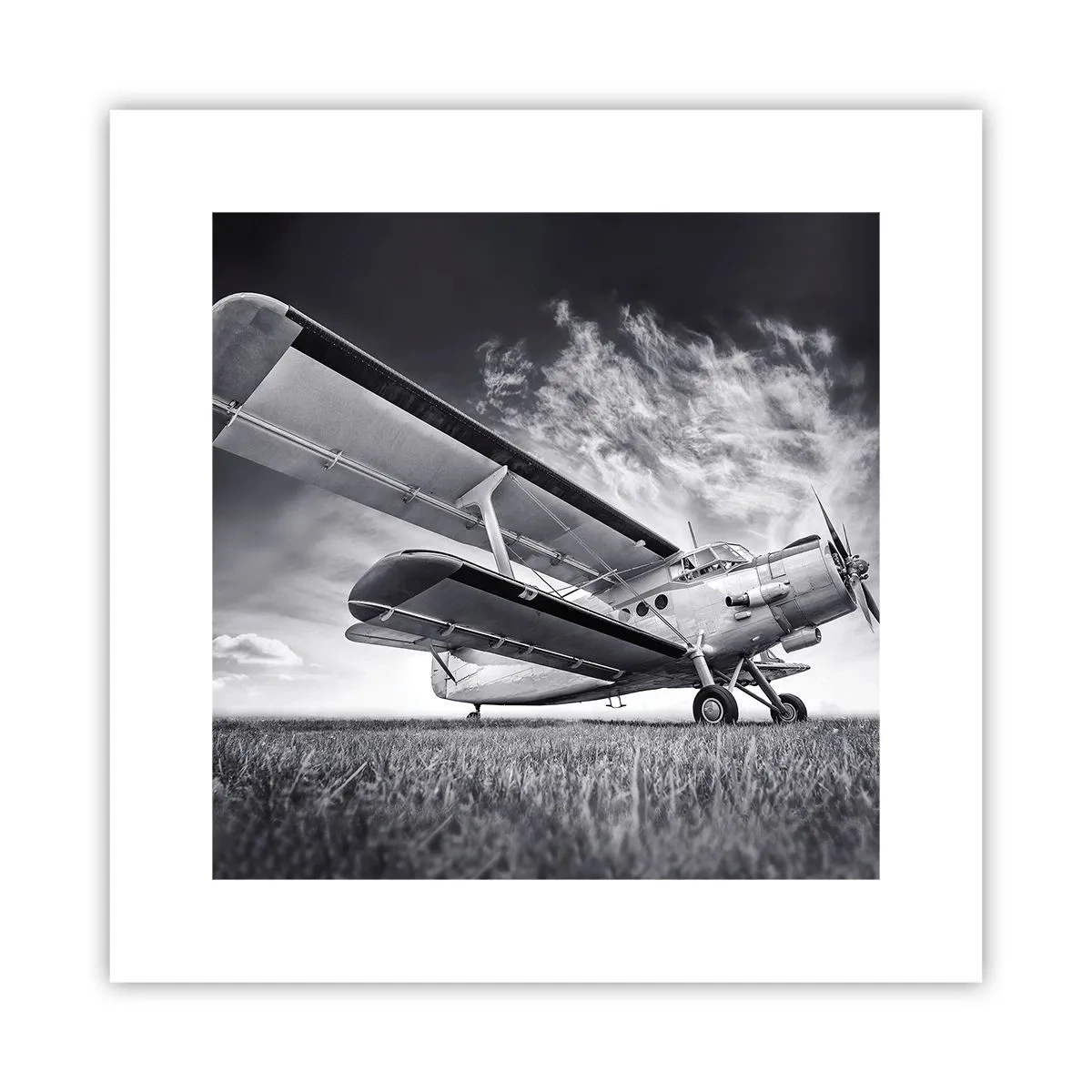 Pôster - Andarilho alado - 30x30 cm