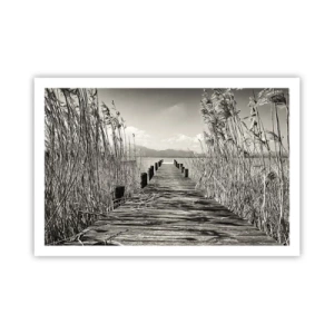 Pôster - No silêncio da relva - 91x61 cm