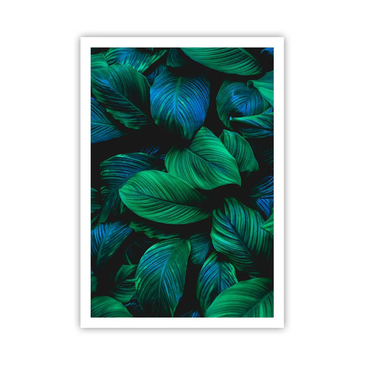 Pôster - Na multidão verde - 70x100 cm