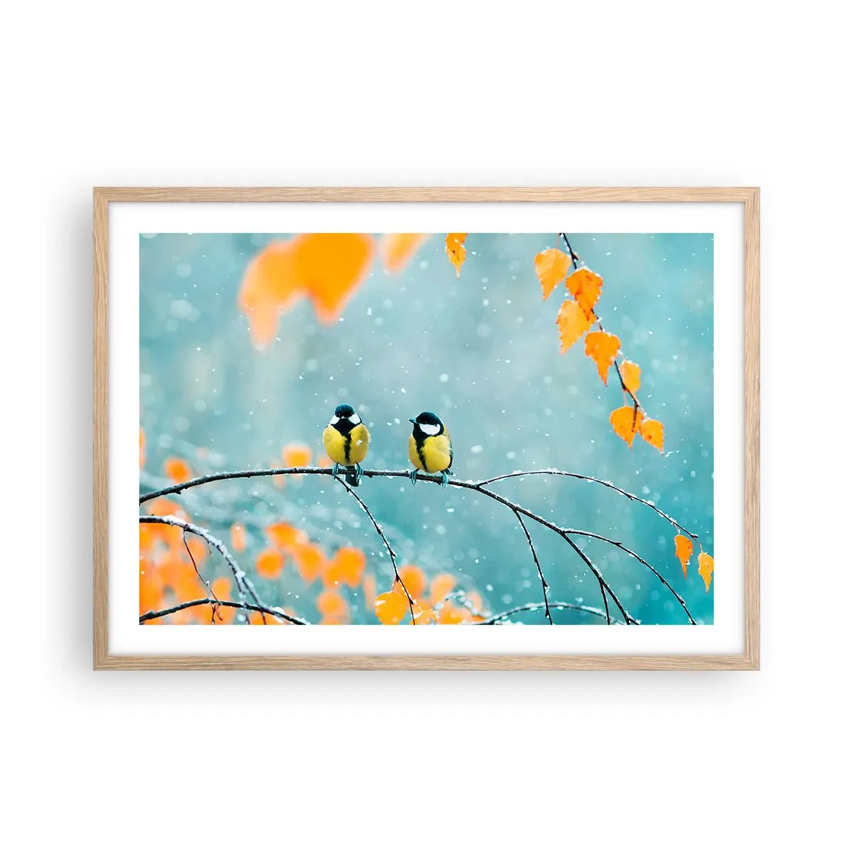 Pôster com moldura de carvalho claro - Fofoca de pássaros - 70x50 cm