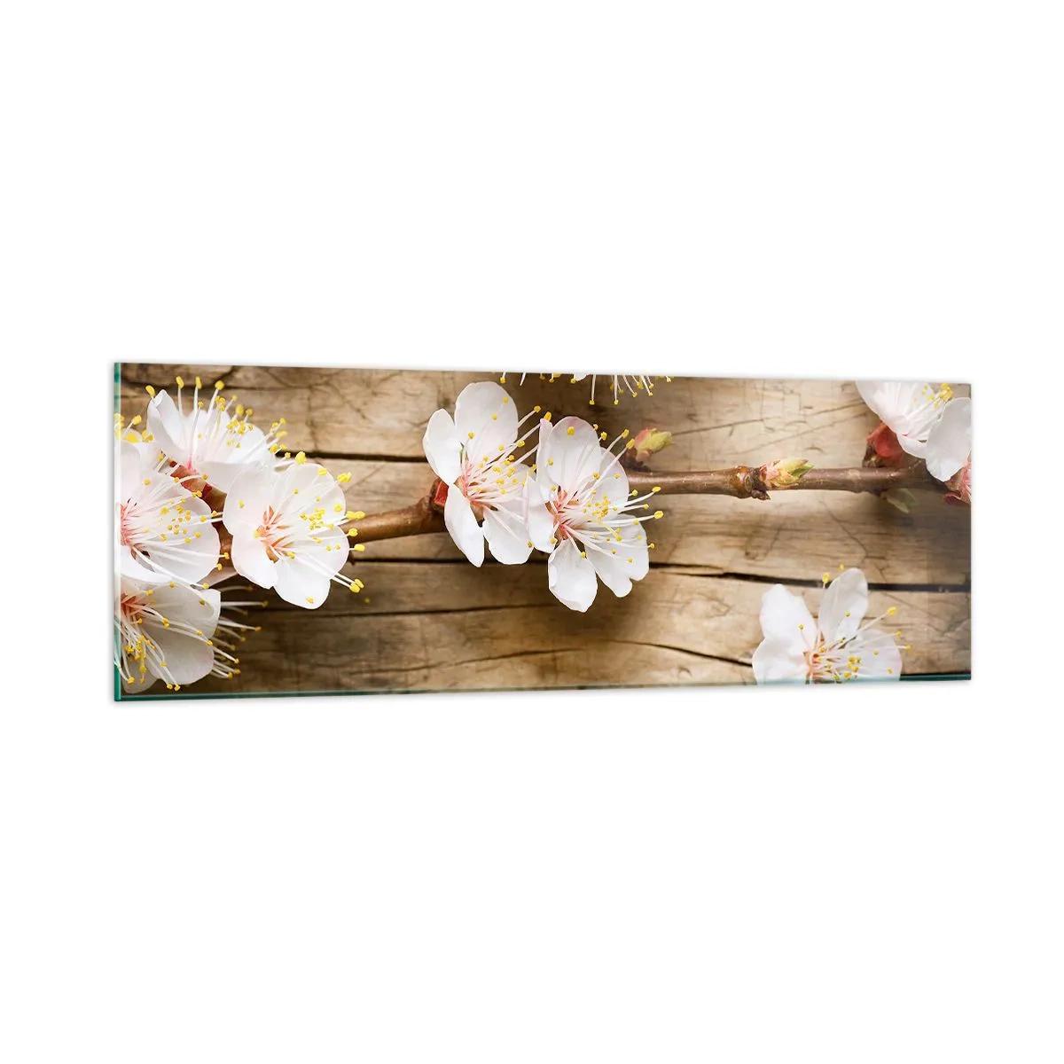 Quadro em vidro - E a primavera chegou - 90x30 cm