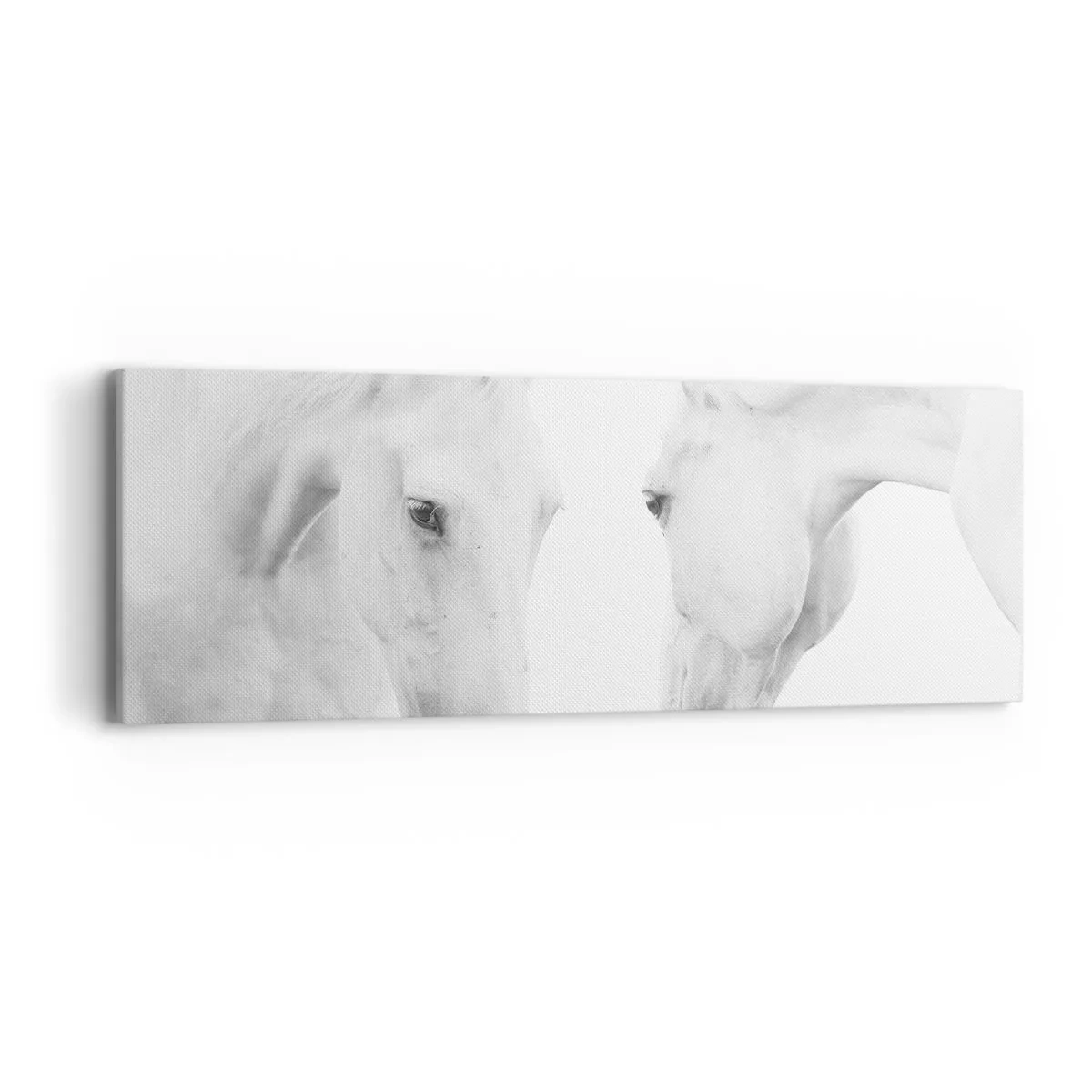 Quadro em tela - Será amizade...? - 90x30 cm