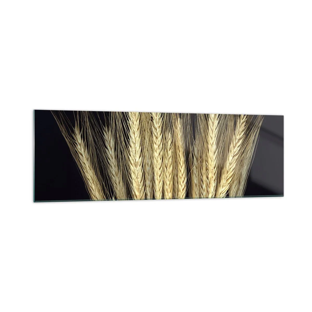 Quadro em vidro - Magia rústica - 160x50 cm