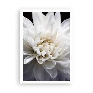 Pôster - Manhã da noiva - 70x100 cm