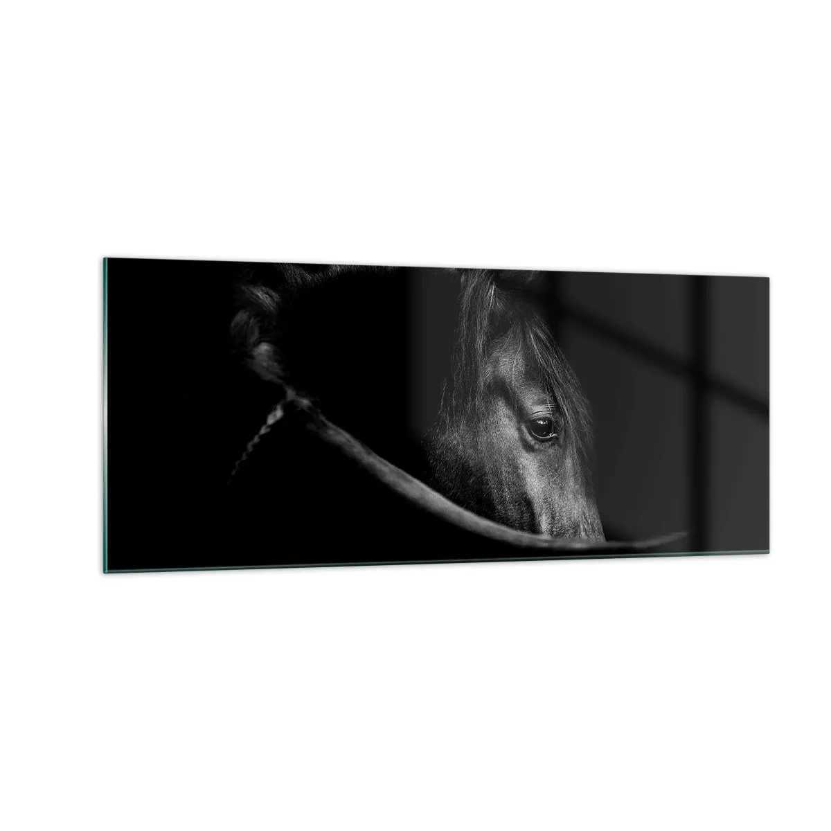 Quadro em vidro - Príncipe Negro - 100x40 cm