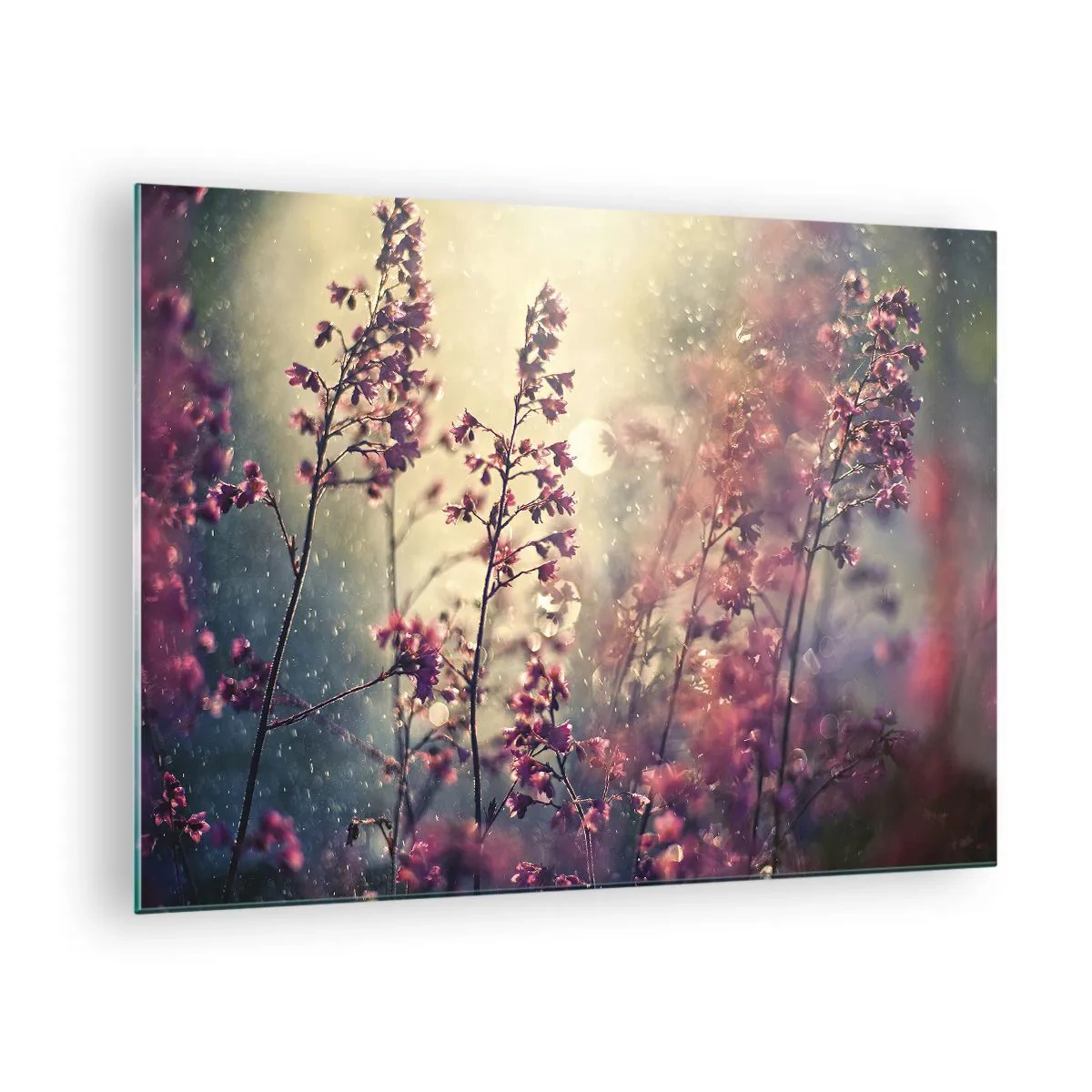 Quadro em vidro - Flores ao sol na chuva suave - 70x50cm - Jardim Secreto - Decoração de parede moderna para a sala de estar e quarto ARTTOR
