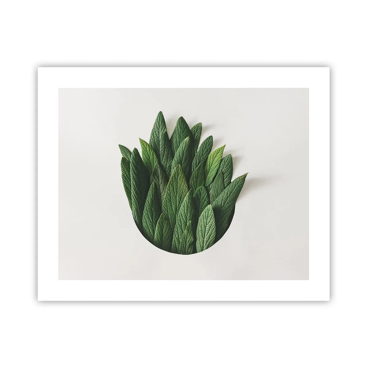 Pôster - Curiosidade indomável - 50x40 cm