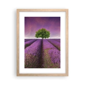 Pôster com moldura de carvalho claro - Nos campos de lavanda - 30x40 cm
