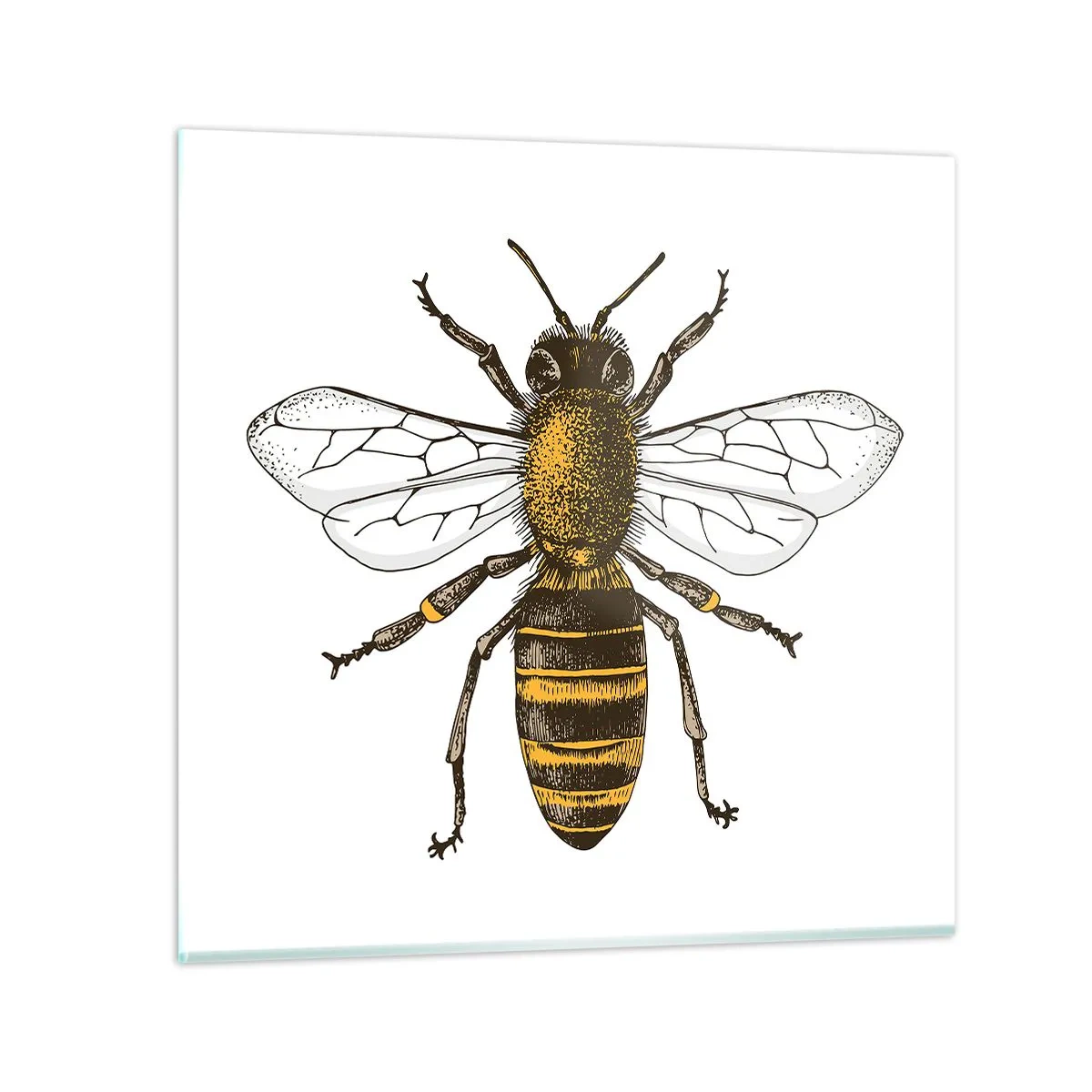 Quadro em vidro - Linda e boa - 30x30 cm