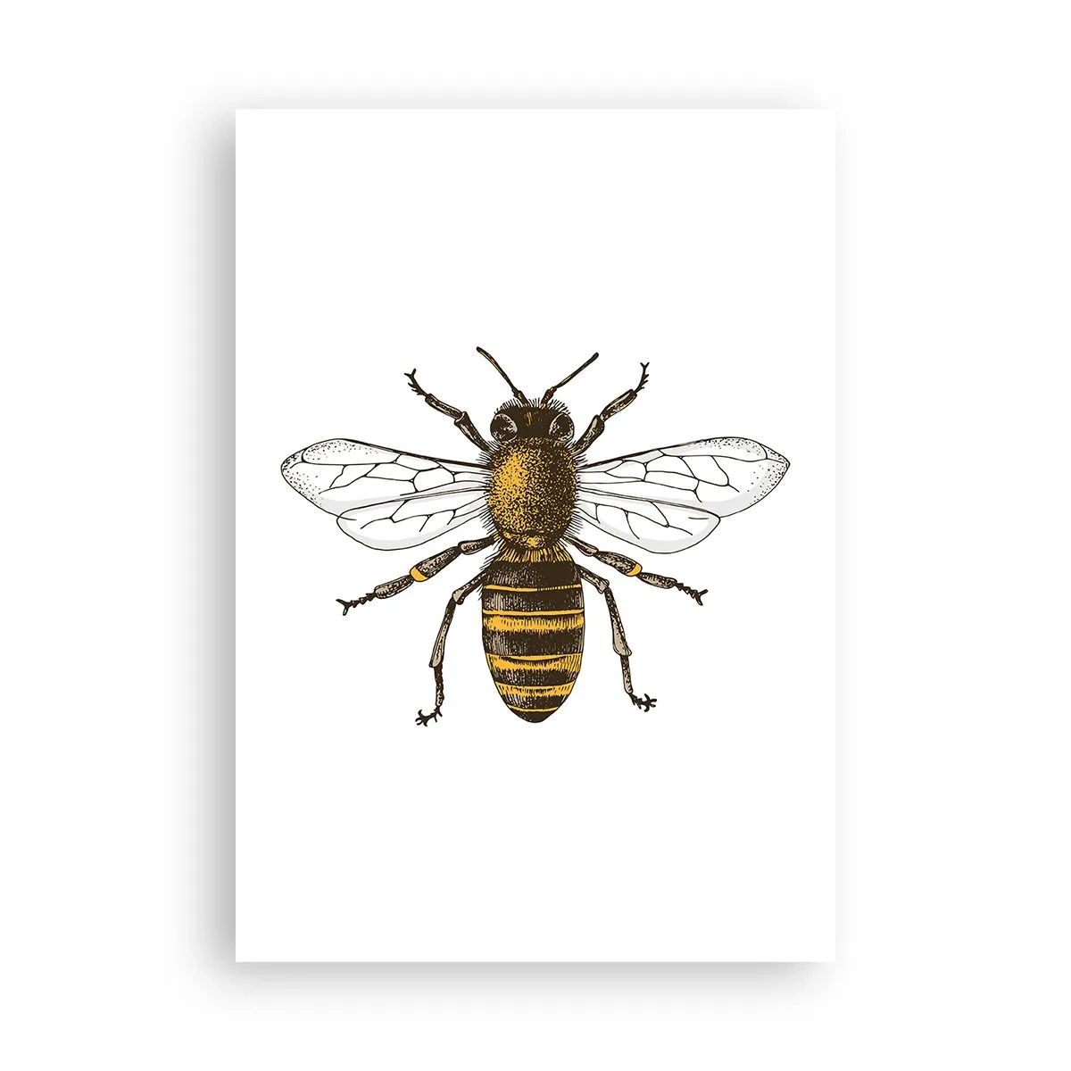 Pôster - Linda e boa - 70x100 cm