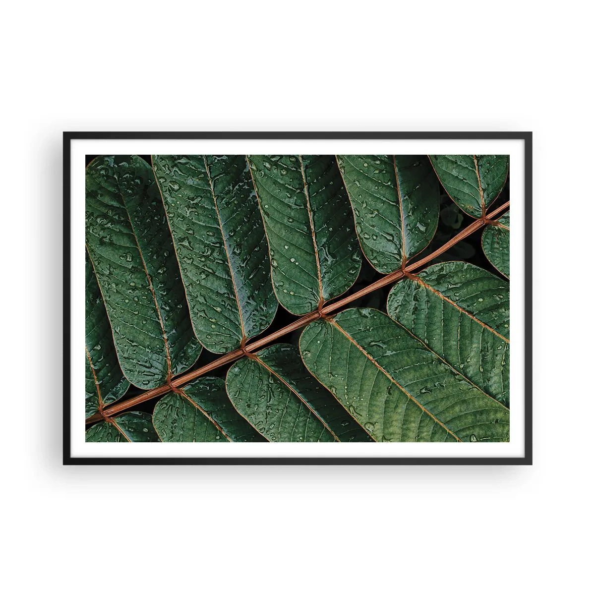 Pôster com moldura preta - Num ritmo verde - 100x70 cm