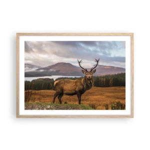 Pôster com moldura de carvalho claro - A majestade da natureza - 70x50 cm