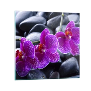 Quadro em vidro - As pedras de iluminaram de deleite - 30x30 cm