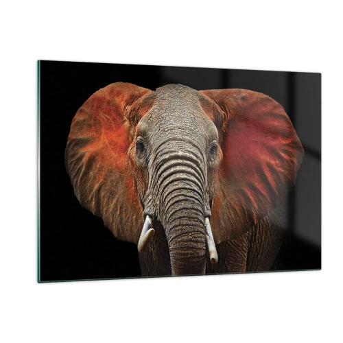 Quadro em vidro - Eu sou selvagem, e você? - 120x80 cm