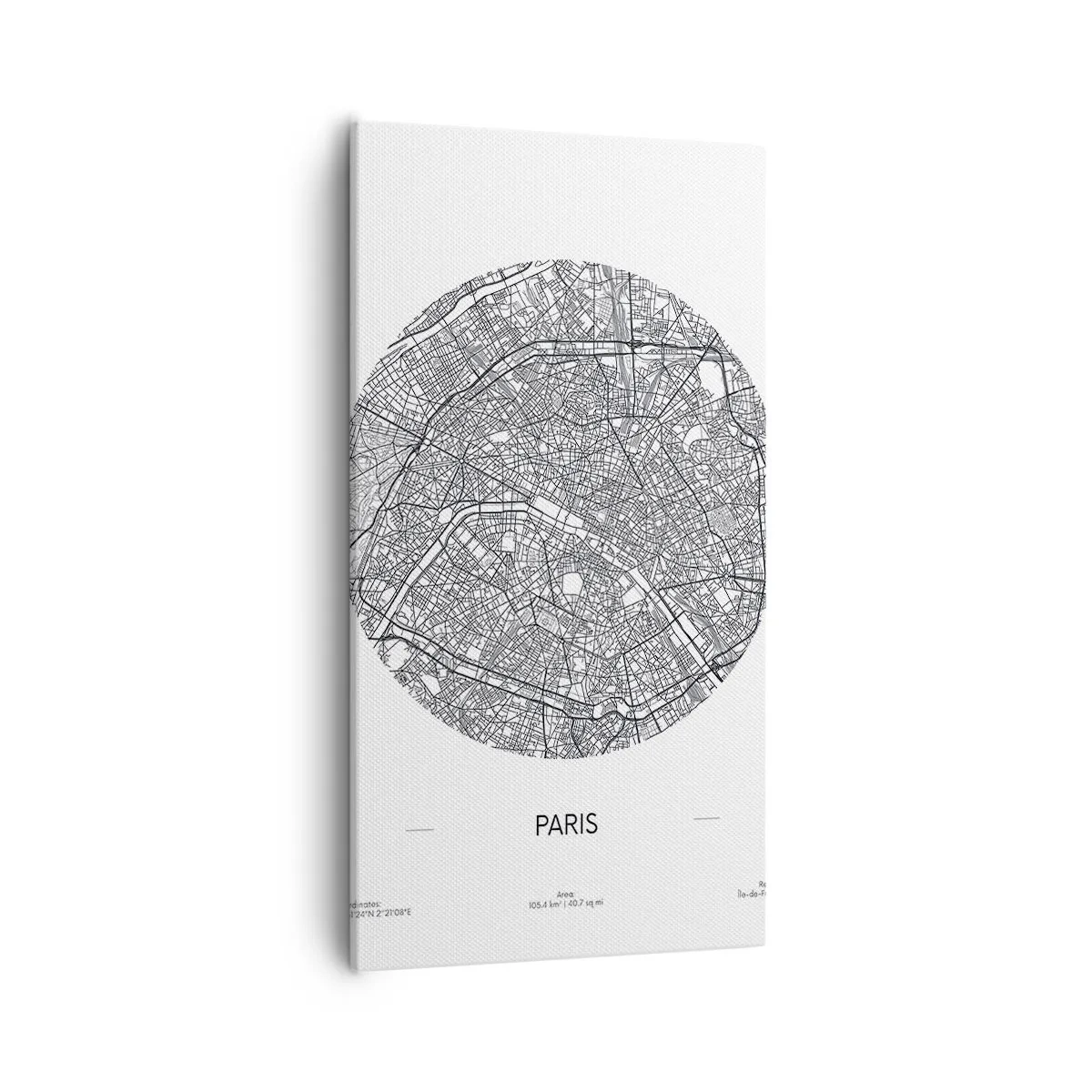 Quadro em tela - Anatomia de Paris - 55x100 cm