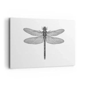 Quadro em tela - Precisão da natureza - 120x80 cm