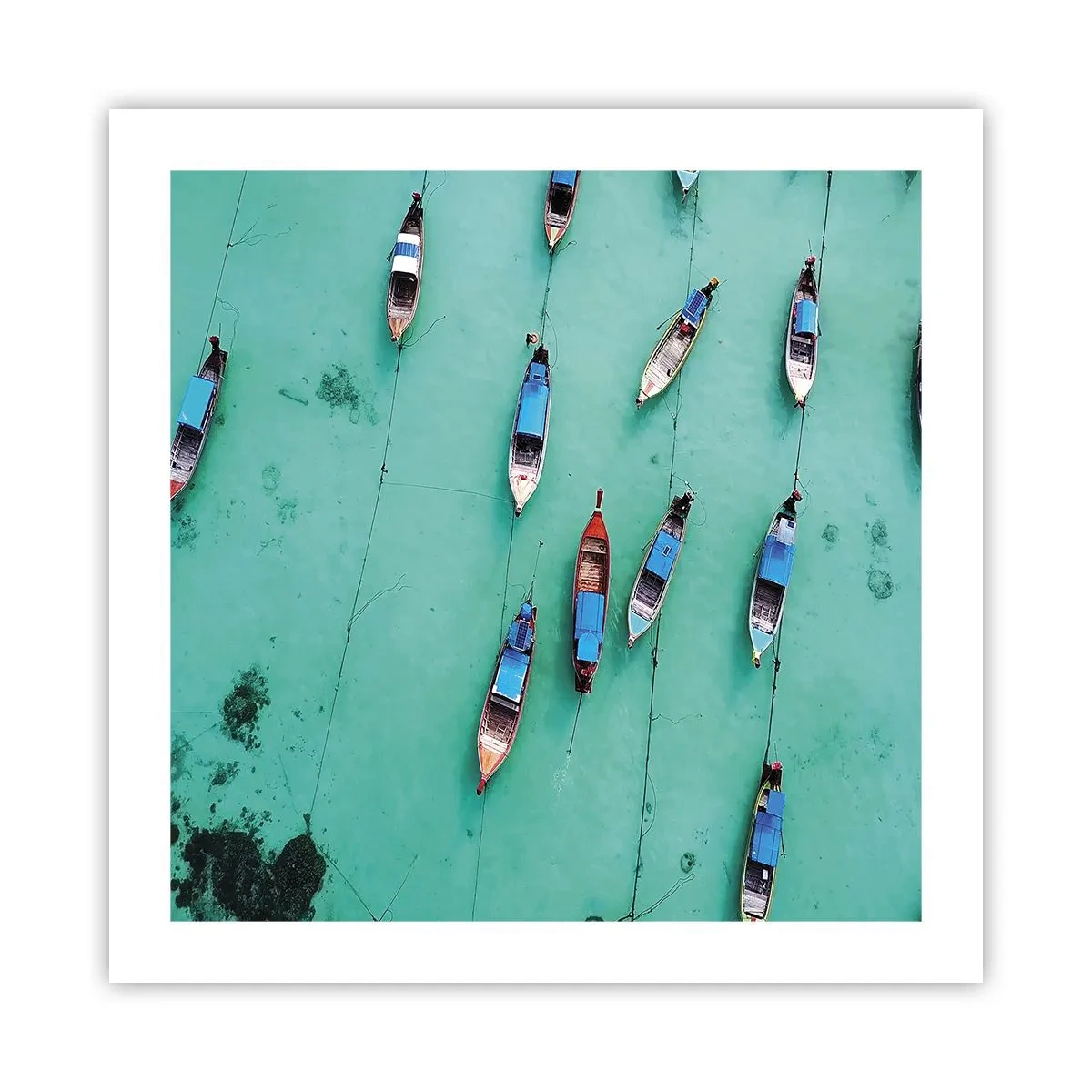 Pôster - Na alegre expectativa - 50x50 cm