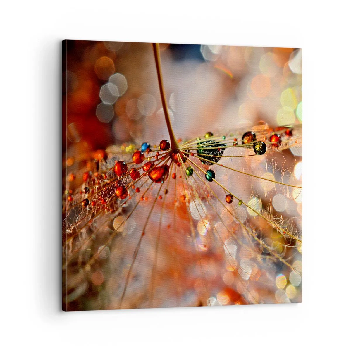 Quadro em tela - Enroscado numa teia de aranha - 60x60 cm