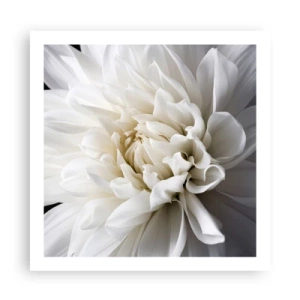 Pôster - Manhã da noiva - 60x60 cm