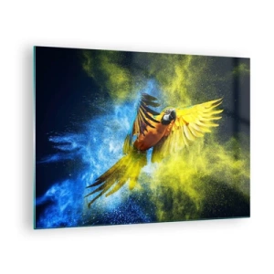 Quadro em vidro - Um papagaio colorido em voo contra um fundo amarelo e azul - 70x50cm - Em pó azul-dourado - Decoração de parede moderna para a sala de estar e quarto ARTTOR