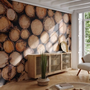 Papel de Parede Premium Sand - Um novo começo - Madeira, Troncos de madeira, Natureza - 350x256 cm