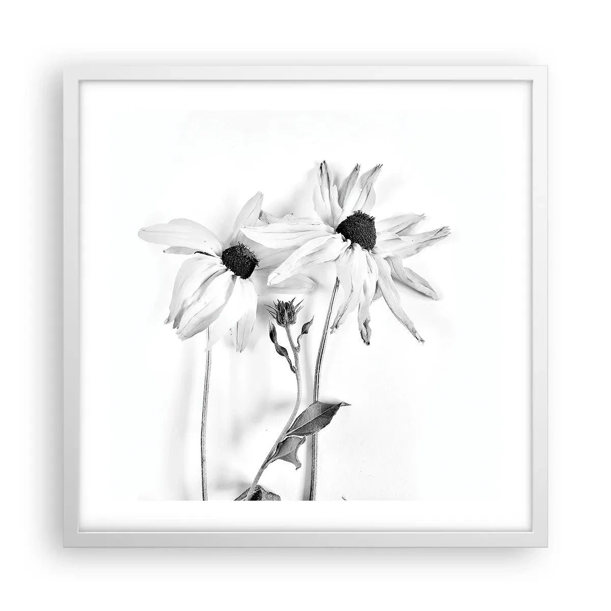 Pôster em moldura branca - Ninguém quer estar sozinho - 50x50 cm