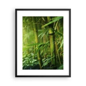 Pôster com moldura preta - Conheça a vegetação  - 40x50 cm