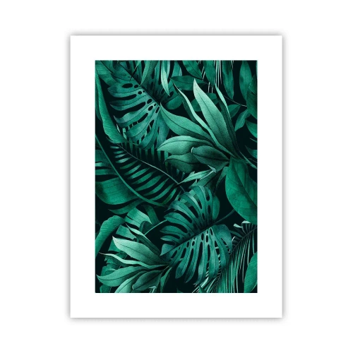 Pôster - A profundidade da vegetação tropical - 30x40 cm
