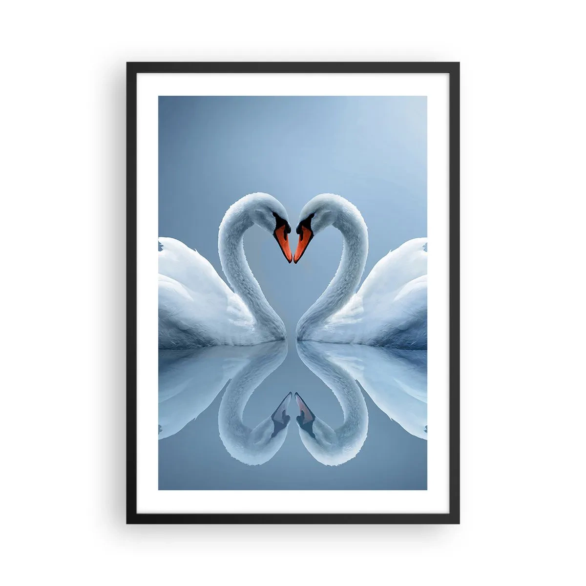 Pôster com moldura preta - Cisnes em forma de coração contra o céu - 50x70cm - Hora do amor - Decoração de parede moderna para a sala de estar e quarto ARTTOR