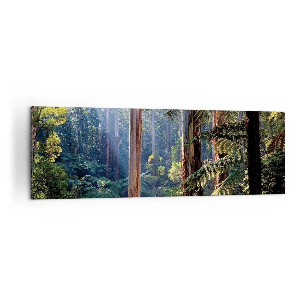 Quadro em tela - Um conto de fadas da floresta - 160x50 cm