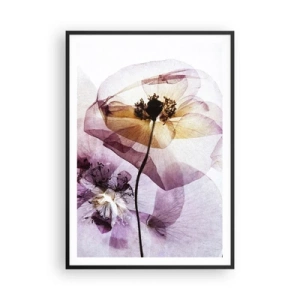 Pôster com moldura preta - A transparência das flores - 70x100 cm
