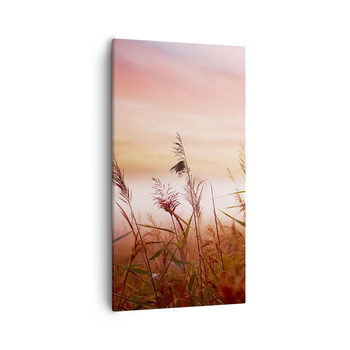 Quadro em tela - Papagaios, balões, vento - 55x100 cm