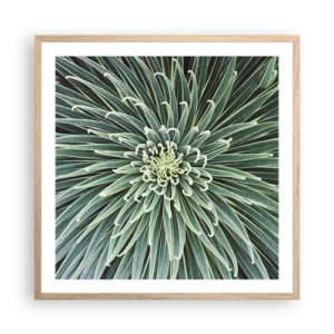 Pôster com moldura de carvalho claro - Nasce uma estrela - 60x60 cm