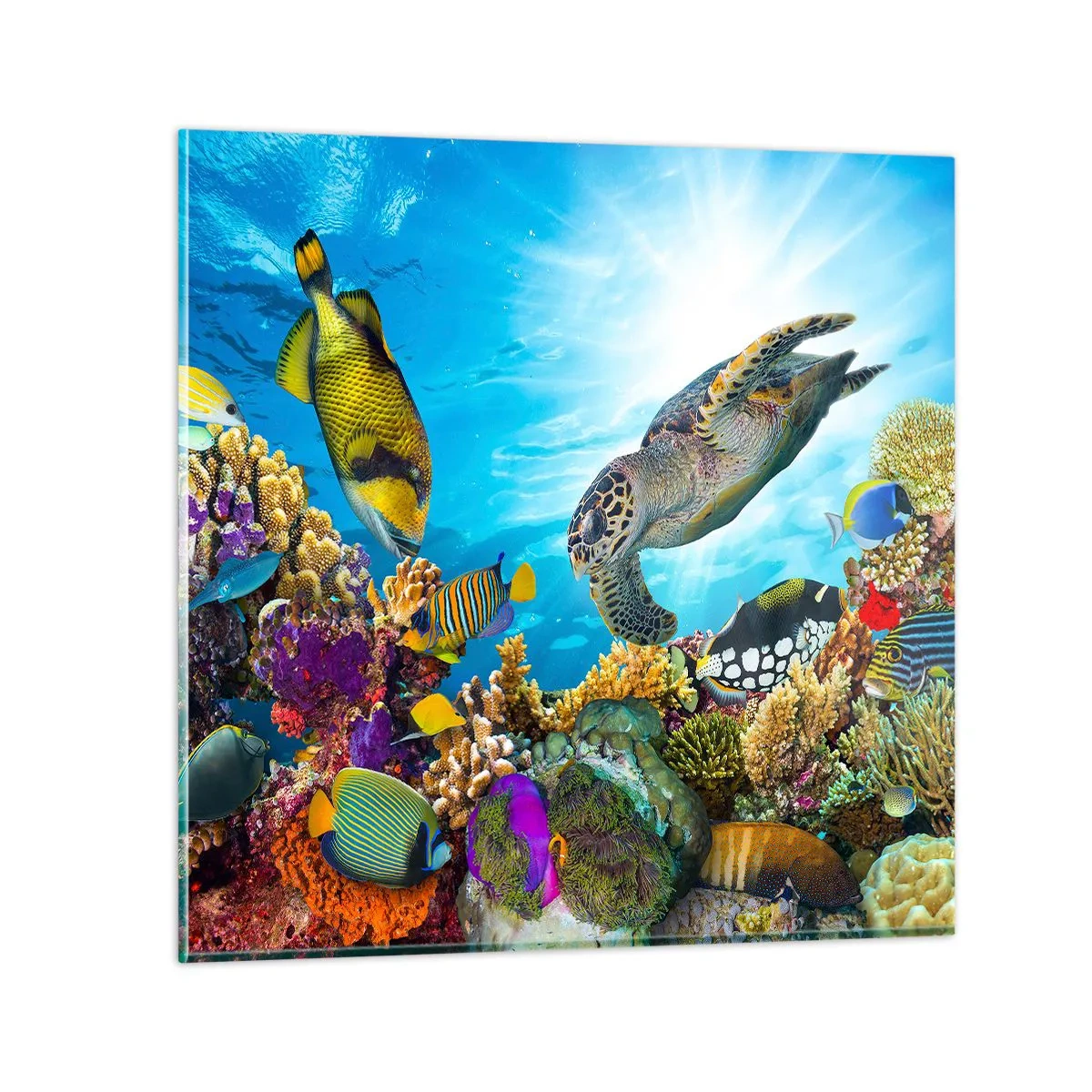 Quadro em vidro - Alameda dos corais - 40x40 cm