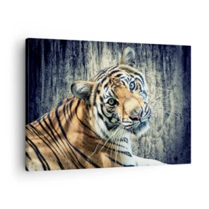 Quadro em tela - Um tigre deitado contra uma parede de textura áspera - 70x50cm - Retrato em feixes de luz - Decoração de parede moderna para a sala de estar e quarto ARTTOR