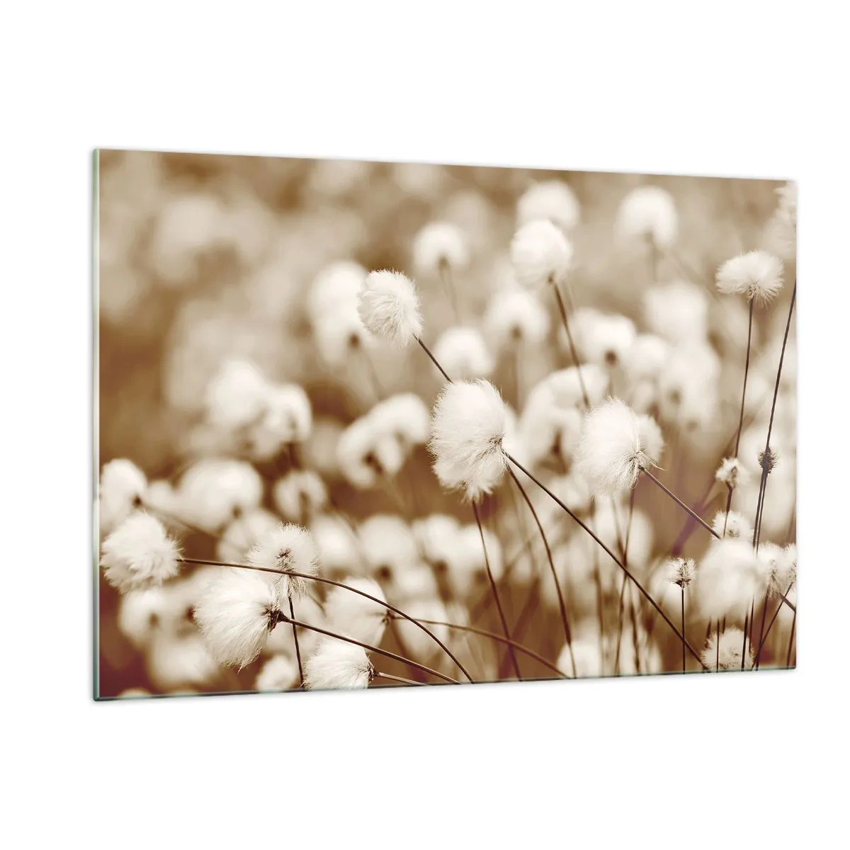 Quadro em vidro - Campos felpudos - 120x80 cm