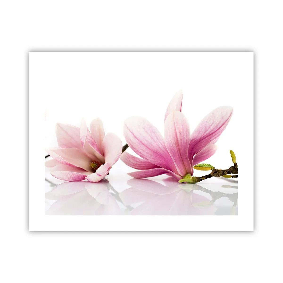 Pôster - Suave como um sopro de primavera - 50x40 cm