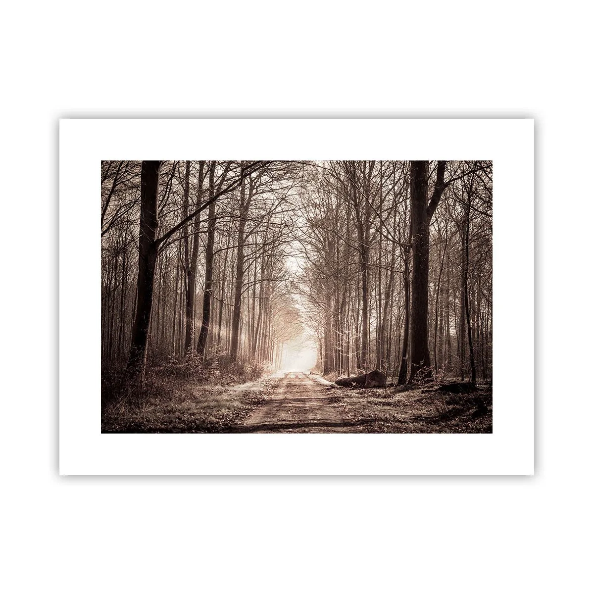 Pôster - Catedral na Floresta - 40x30 cm