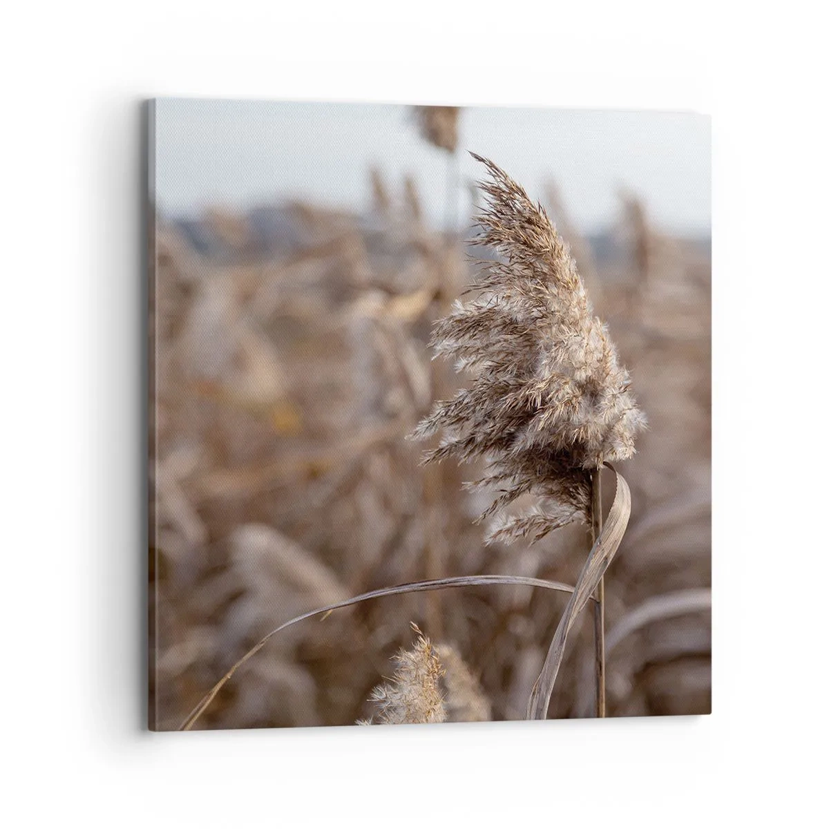 Quadro em tela - É hora de voar com o vento - 70x70 cm