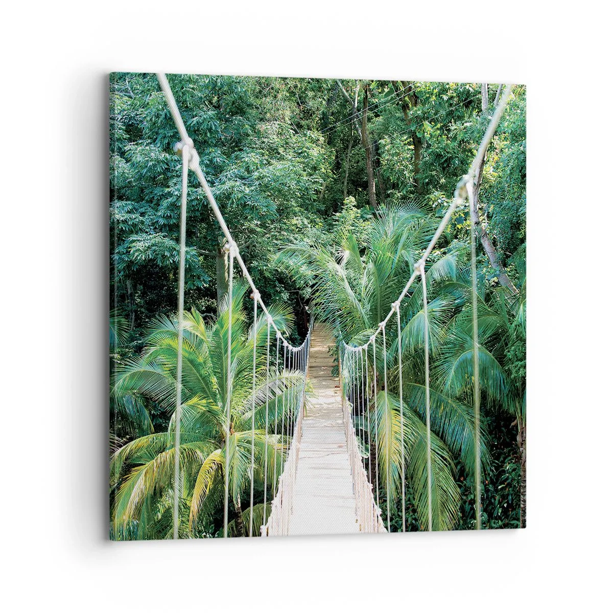 Quadro em tela - Bem-vindo à selva! - 70x70 cm