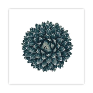 Pôster - Estrela do Deserto - 50x50 cm