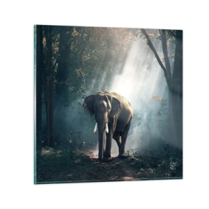 Quadro em vidro - Um passeio descontraído - 50x50 cm