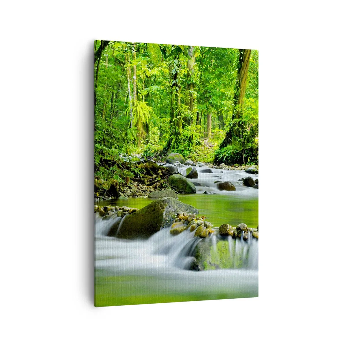 Quadro em tela - Navegar no mar de vegetação - 70x100 cm