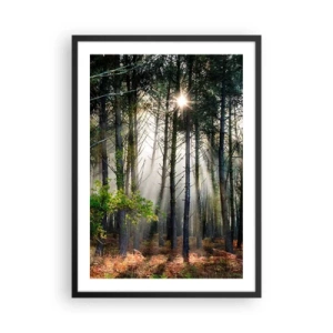 Pôster com moldura preta - Raios mágicos de sol no cenário da floresta - 50x70cm - Uma área florestal - Decoração de parede moderna para a sala de estar e quarto ARTTOR