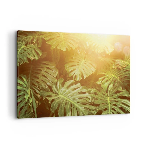 Quadro em tela - Um mergulho na vegetação - 100x70 cm