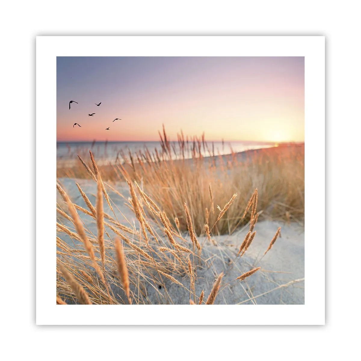 Pôster - Uma canção de embalar do Báltico - 50x50 cm