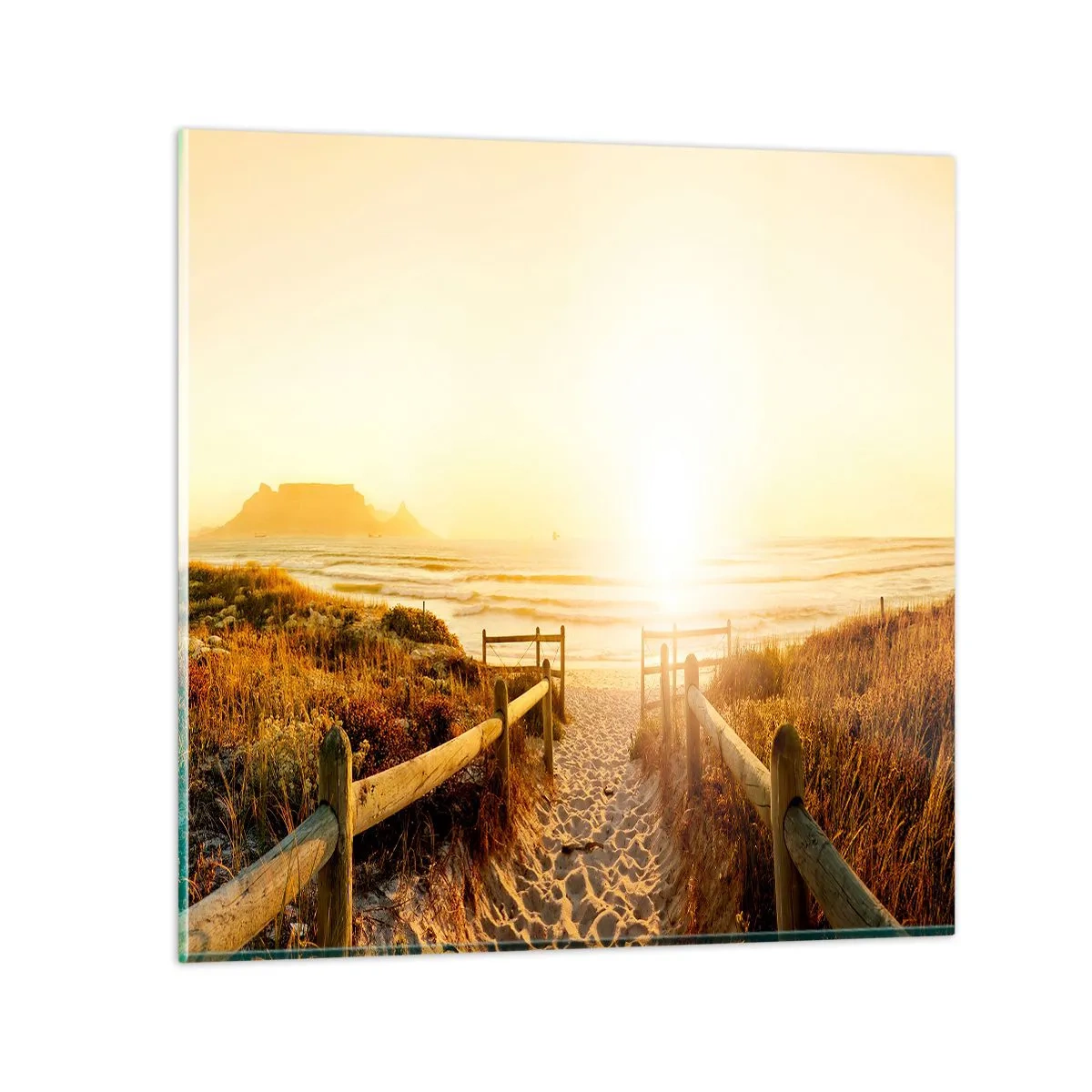 Quadro em vidro - Pelaa duna, em direção ao sol - 70x70 cm