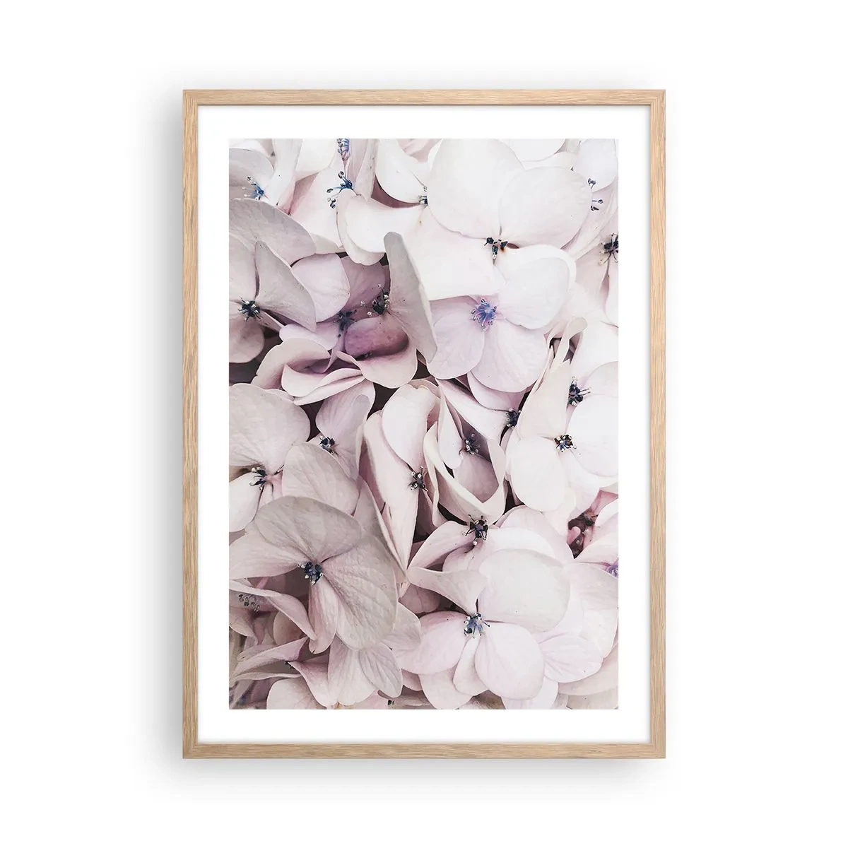 Pôster com moldura de carvalho claro - Em uma inundação de flores - 50x70 cm