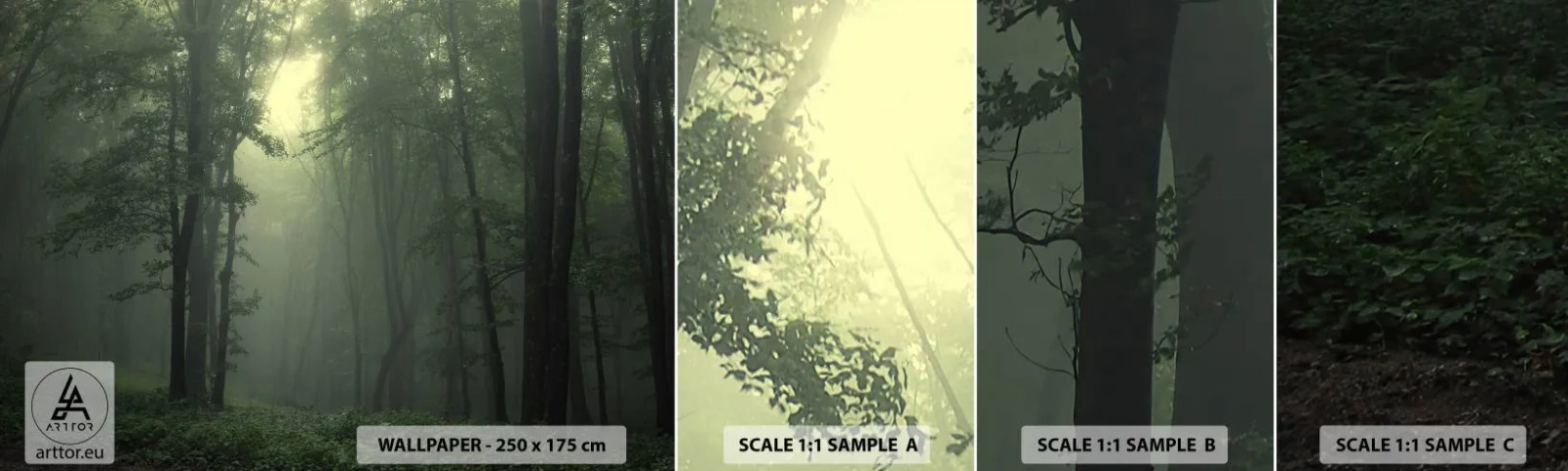 Amostra de Papel de Parede Standard Eco - Antes de acordar - Paisagem, Floresta, Natureza - 100x30 cm