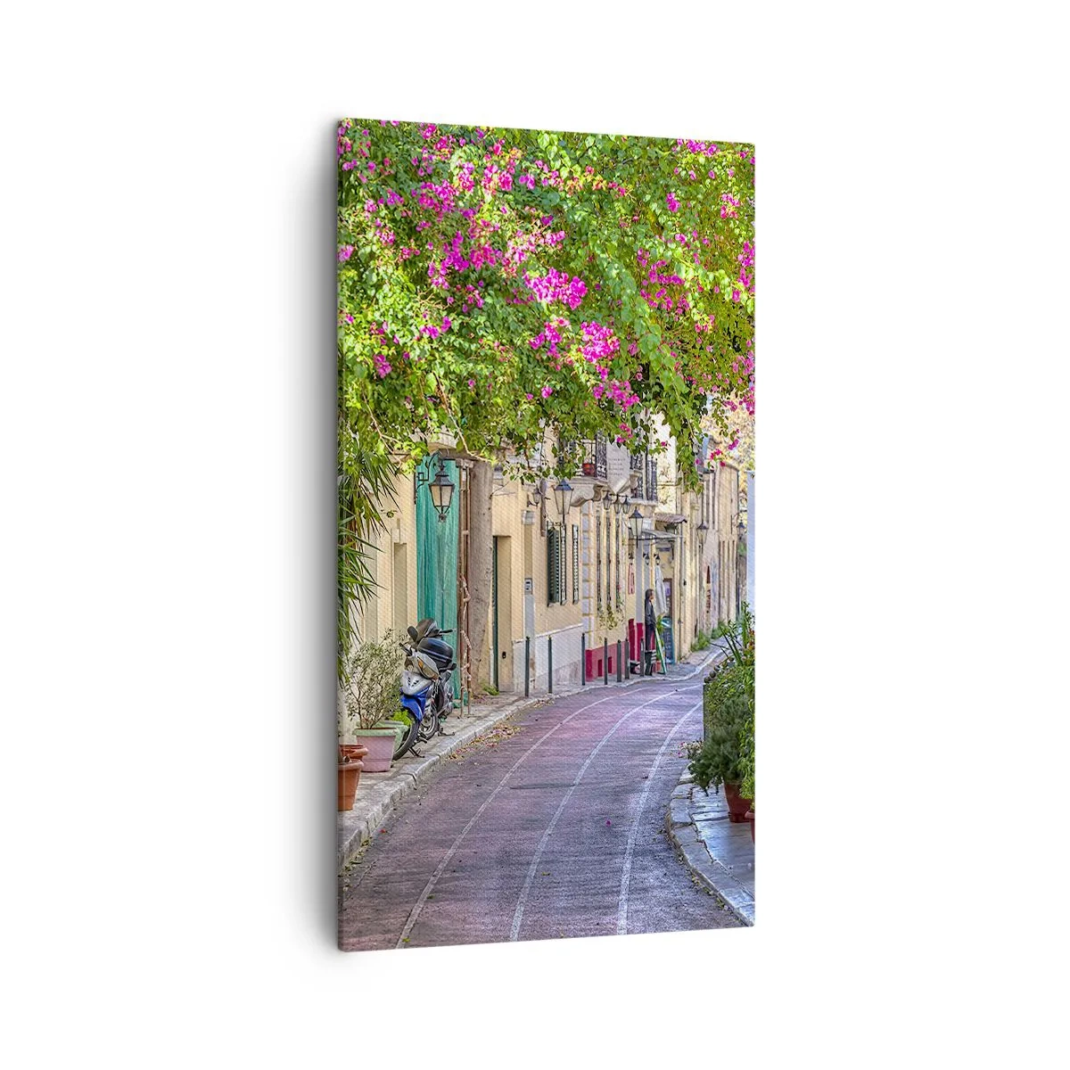 Quadro em tela - Beco florido - 45x80 cm